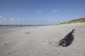 Kurische Nehrung: Strand mit Treibgut