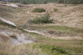 Kurische Nehrung: Bewachsene Düne