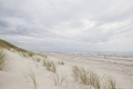 Kurische Nehrung: Sandstrand und Strandgras